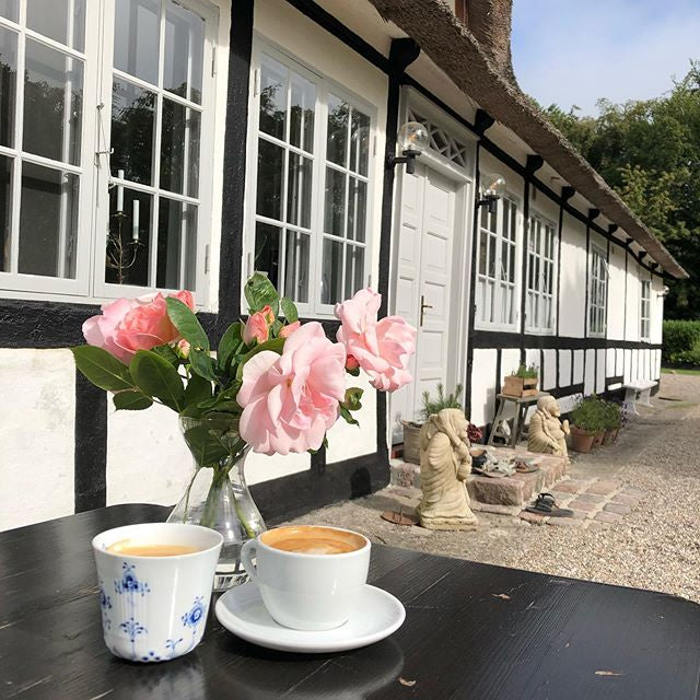 4 dages Yoga Sabbat retreat: Samsø (4.-7. september 2025) fra 6100 kr.