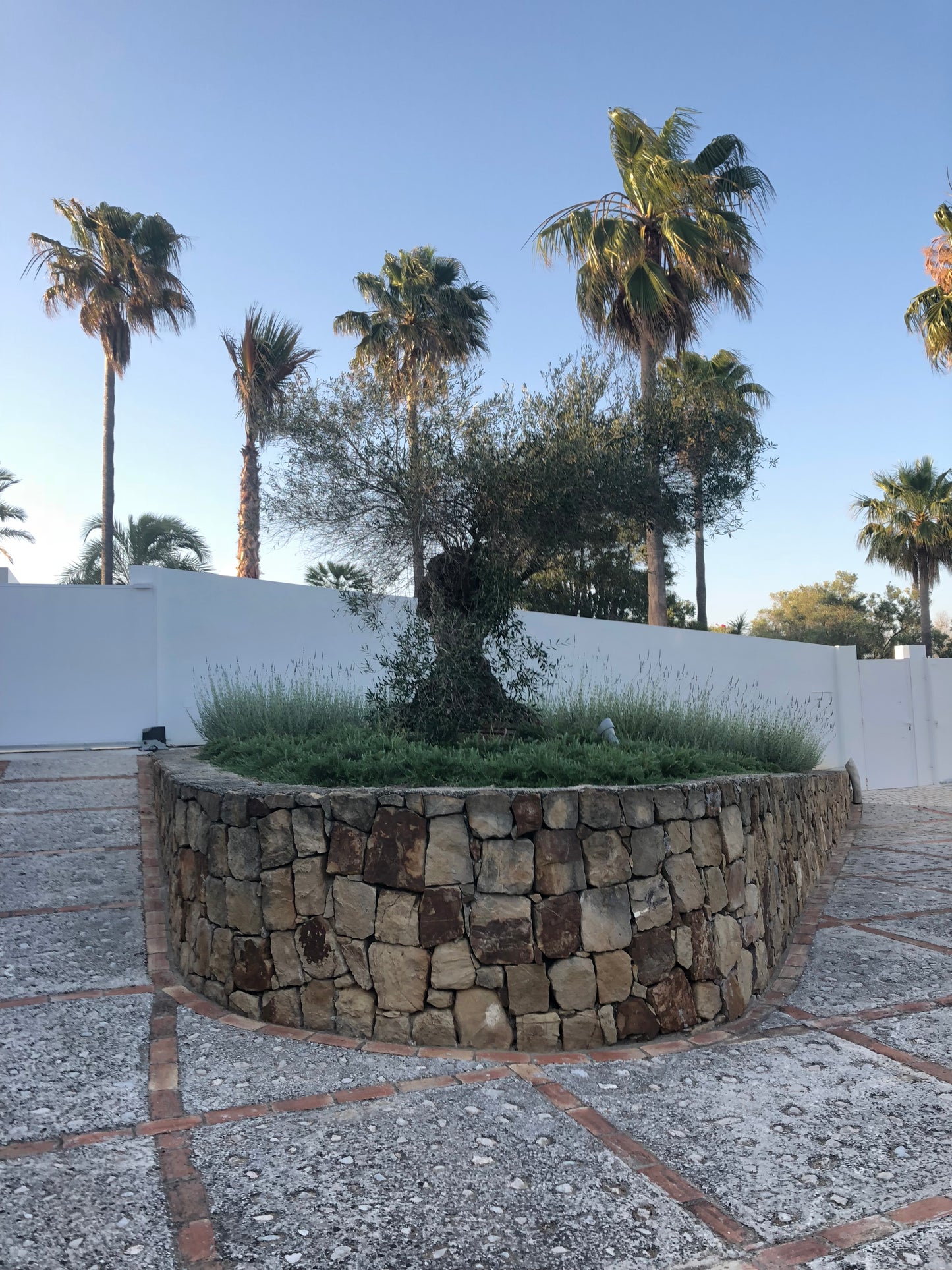 5 dages Yoga & Pilates Rejse: Sotogrande, Spanien (3.-7. september 2025) til 9.500 kr.