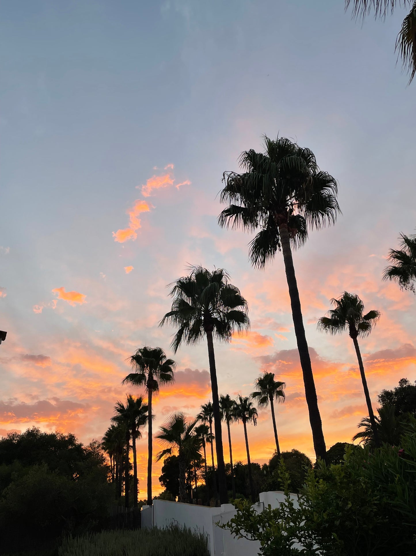 5 dages Yoga & Pilates Rejse: Sotogrande, Spanien (3.-7. september 2025) til 9.500 kr.
