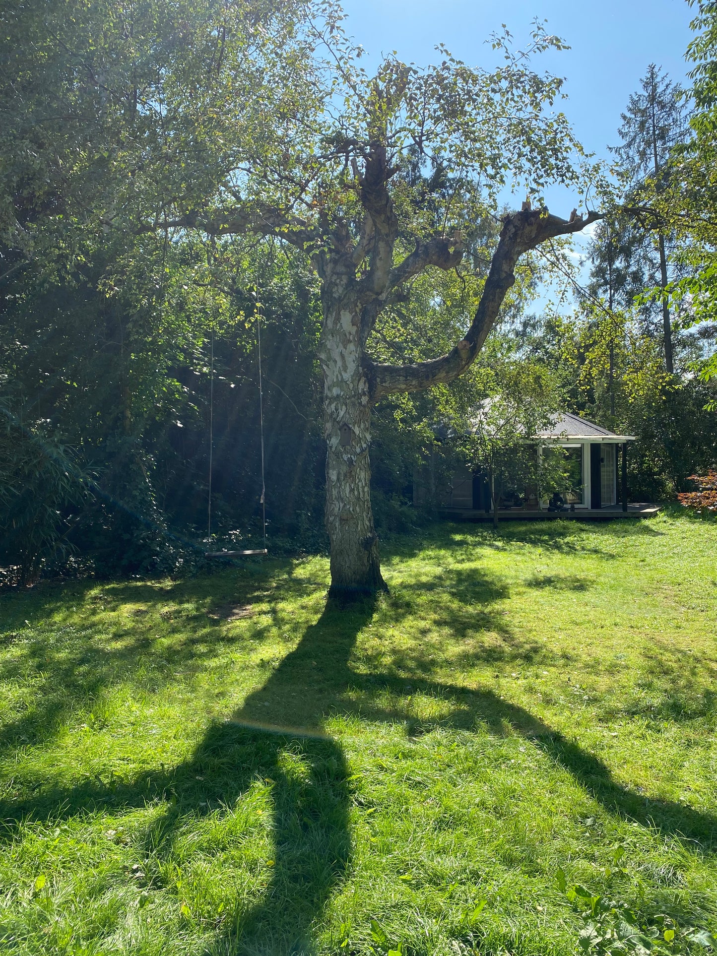 3 dages Forårs- yoga retreat: Nordsjælland, Danmark (1.-3. maj 2026) fra 4400 kr.