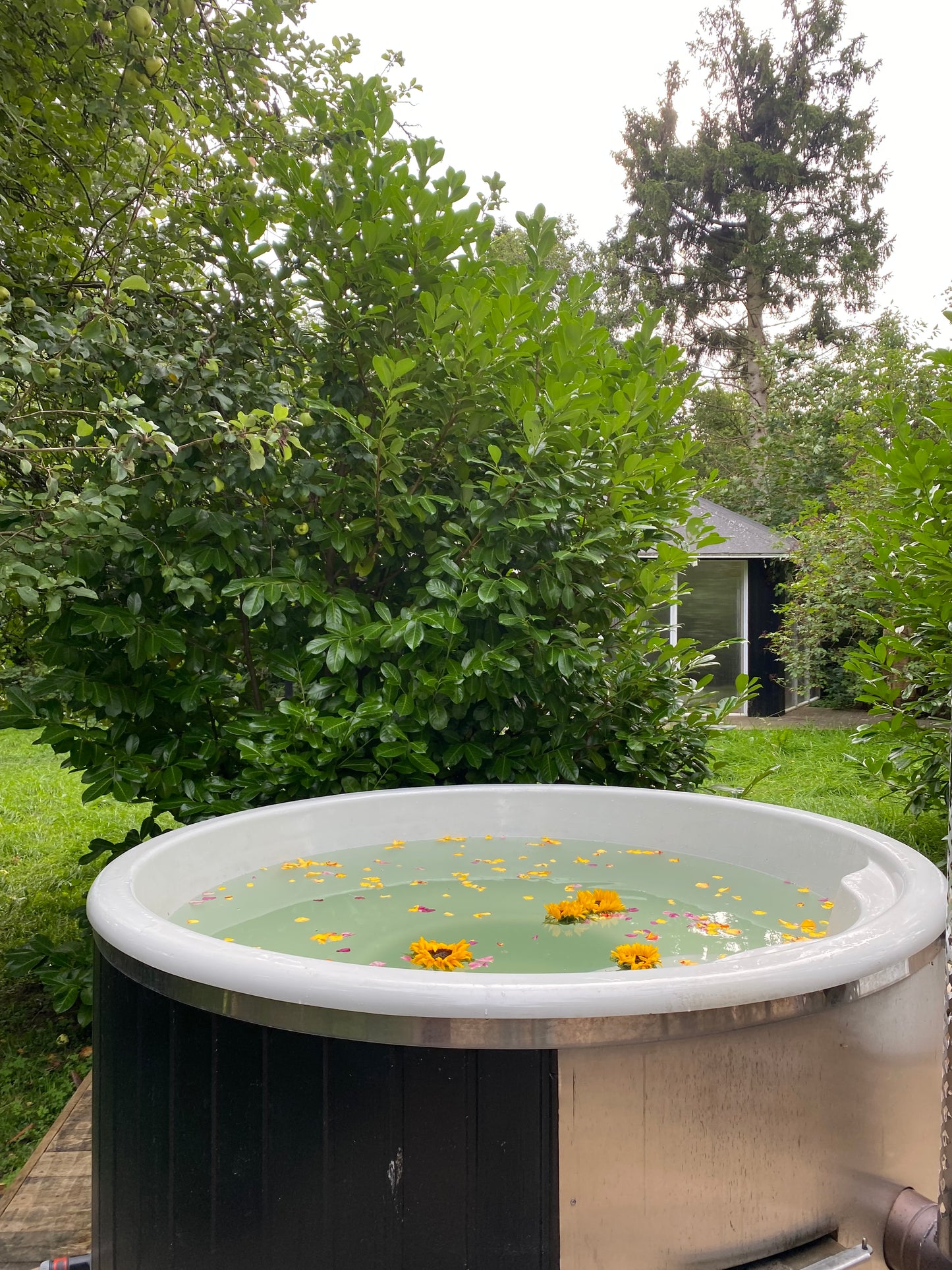 3 dages Forårs- yoga retreat: Nordsjælland, Danmark (1.-3. maj 2026) fra 4400 kr.