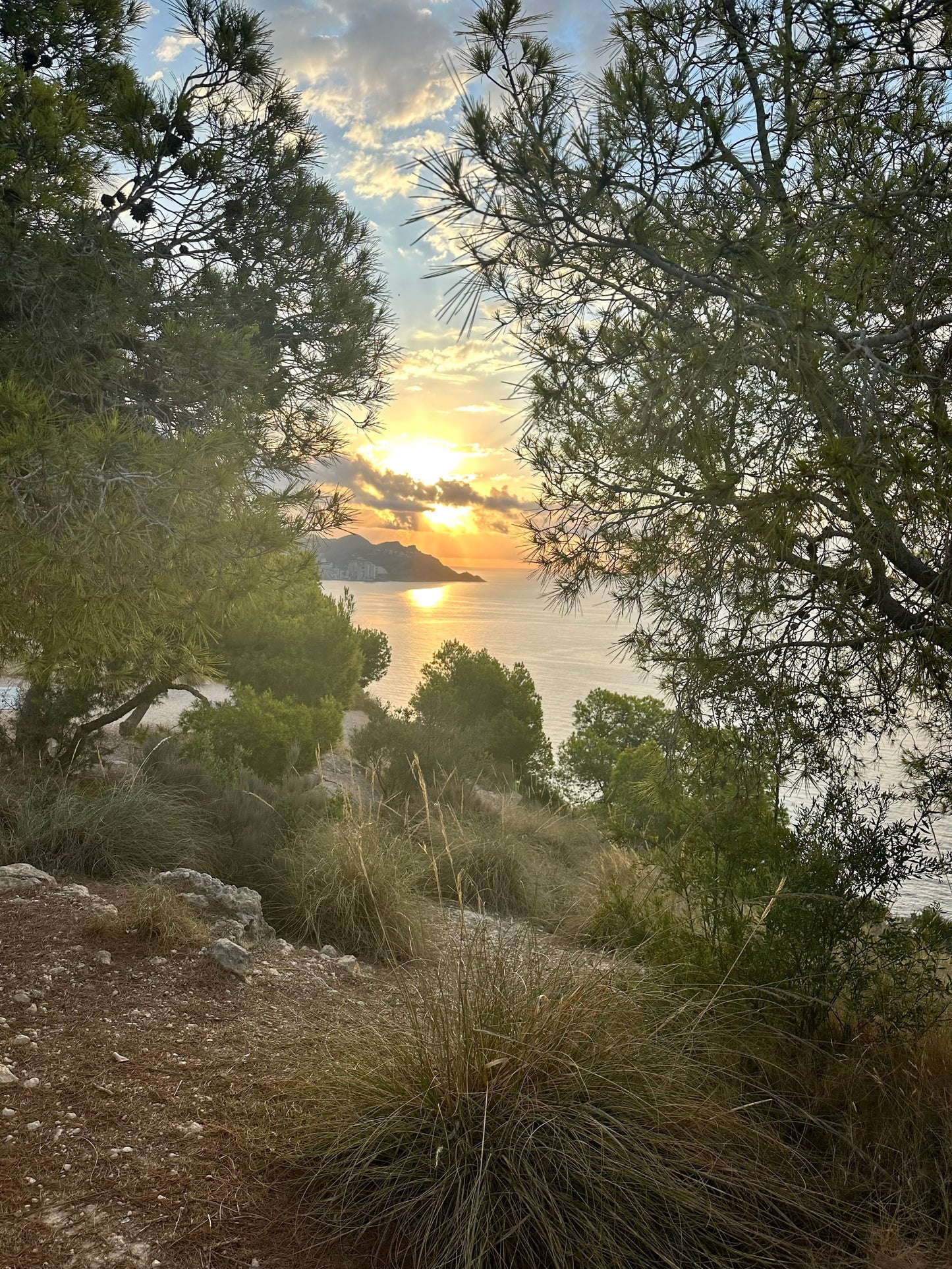 7 dages sommer yoga retreat: Alicante, Spanien (19. - 26. juni 2027 & 28. august-4. september 2027) fra 12.499 kr.