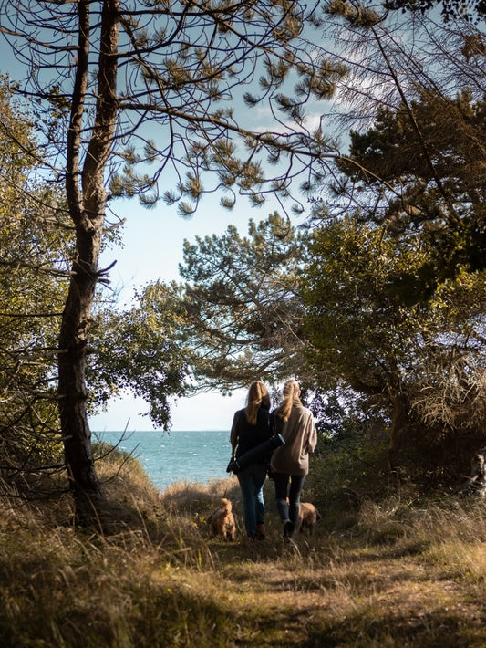 5-dages yoga retreat: Samsø (21.-26. juli 2025) fra 7900 kr.
