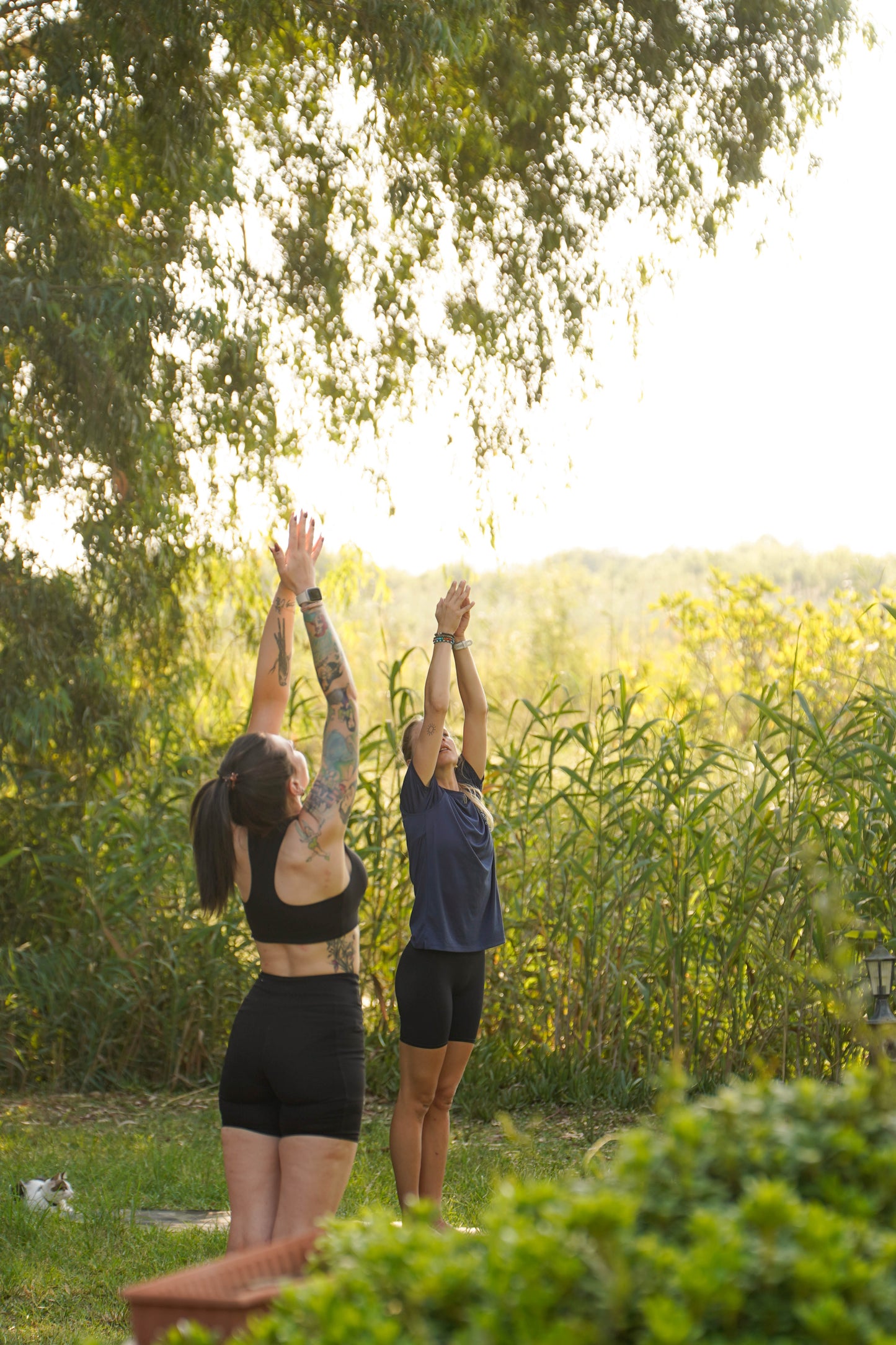 6-Day Yoga & Kitesurfing Retreat: Akyaka, Turkey (August & September 2026) from DKK 8799