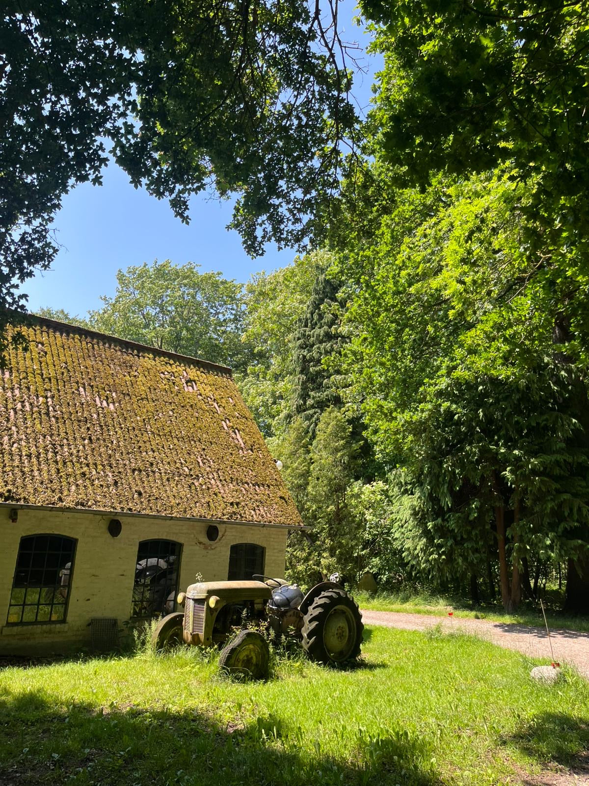 3 dages Yoga Weekend Retreat: Møn, Danmark (5.-7. juni 2026) fra 3900 kr.