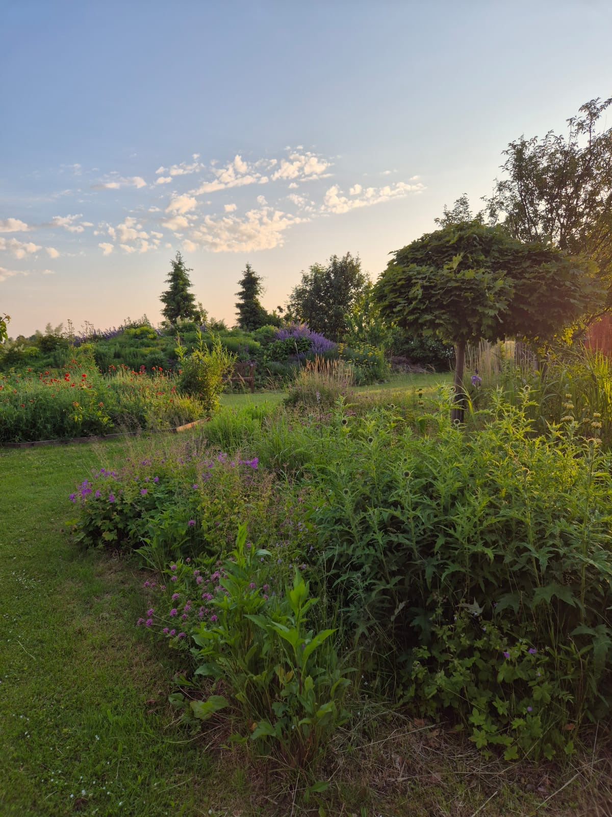 3 dages Yoga Weekend Retreat: Møn, Danmark (5.-7. juni 2026) fra 3900 kr.