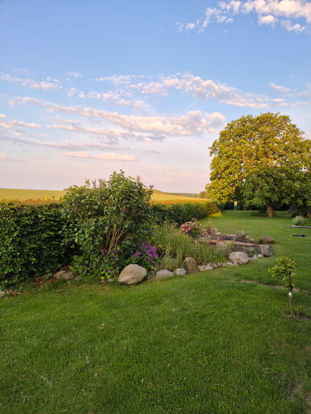 3 dages Yoga Weekend Retreat: Møn, Danmark (5.-7. juni 2026) fra 3900 kr.