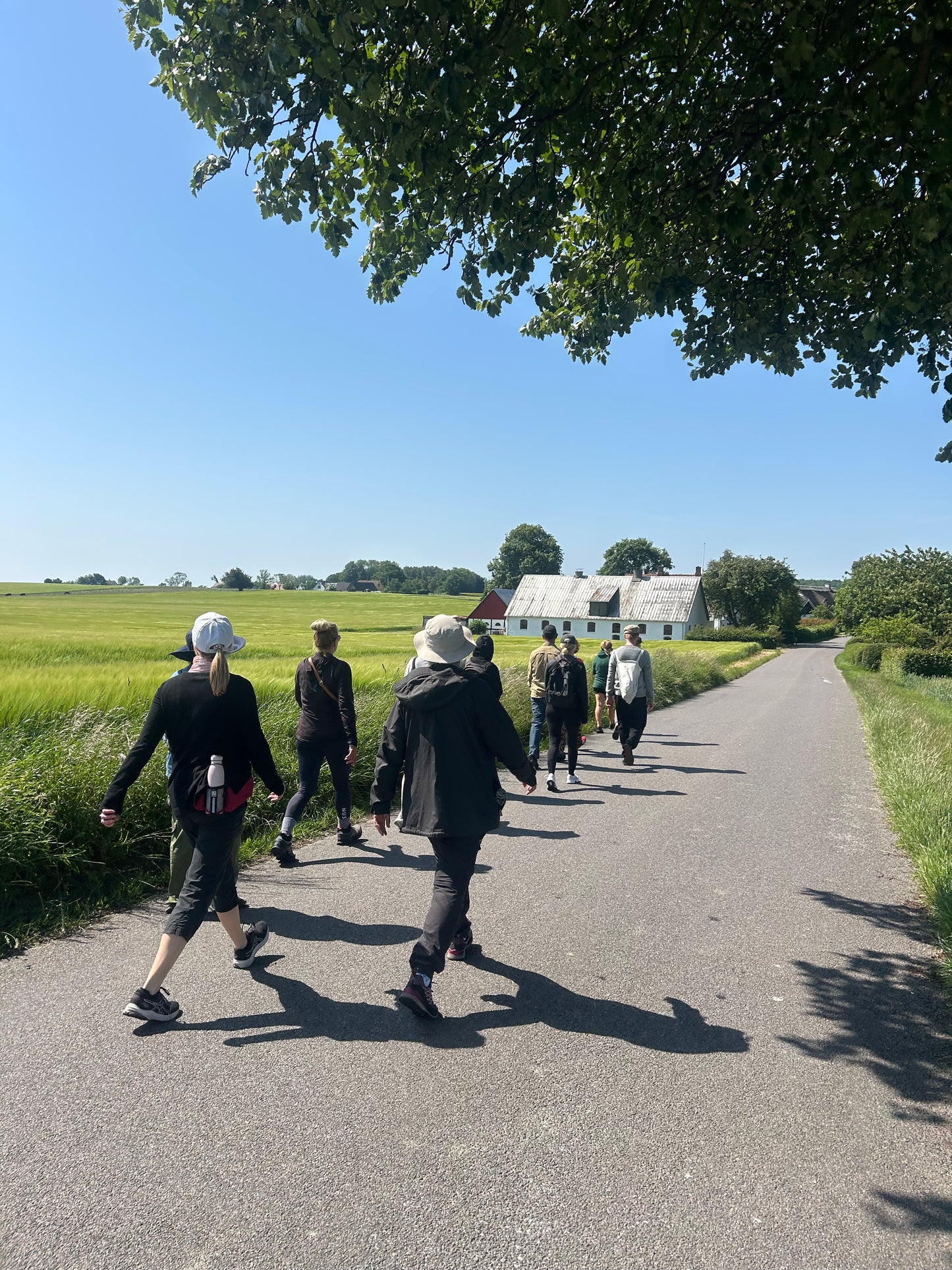 3 dages Yoga Weekend Retreat: Møn, Danmark (5.-7. juni 2026) fra 3900 kr.