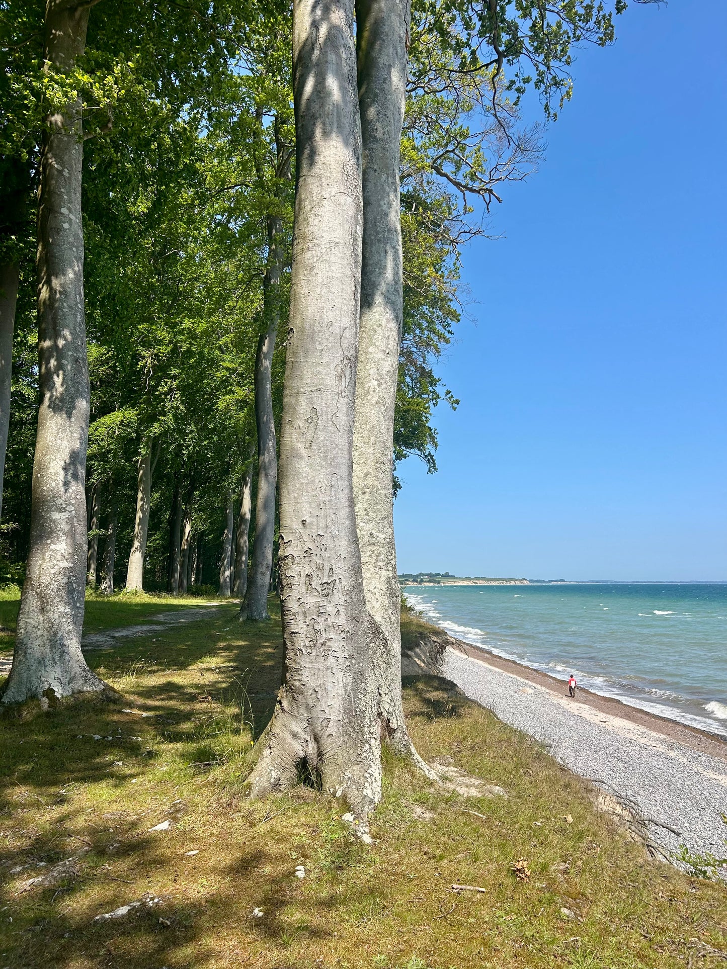 3 dages Yoga Weekend Retreat: Møn, Danmark (5.-7. juni 2026) fra 3900 kr.