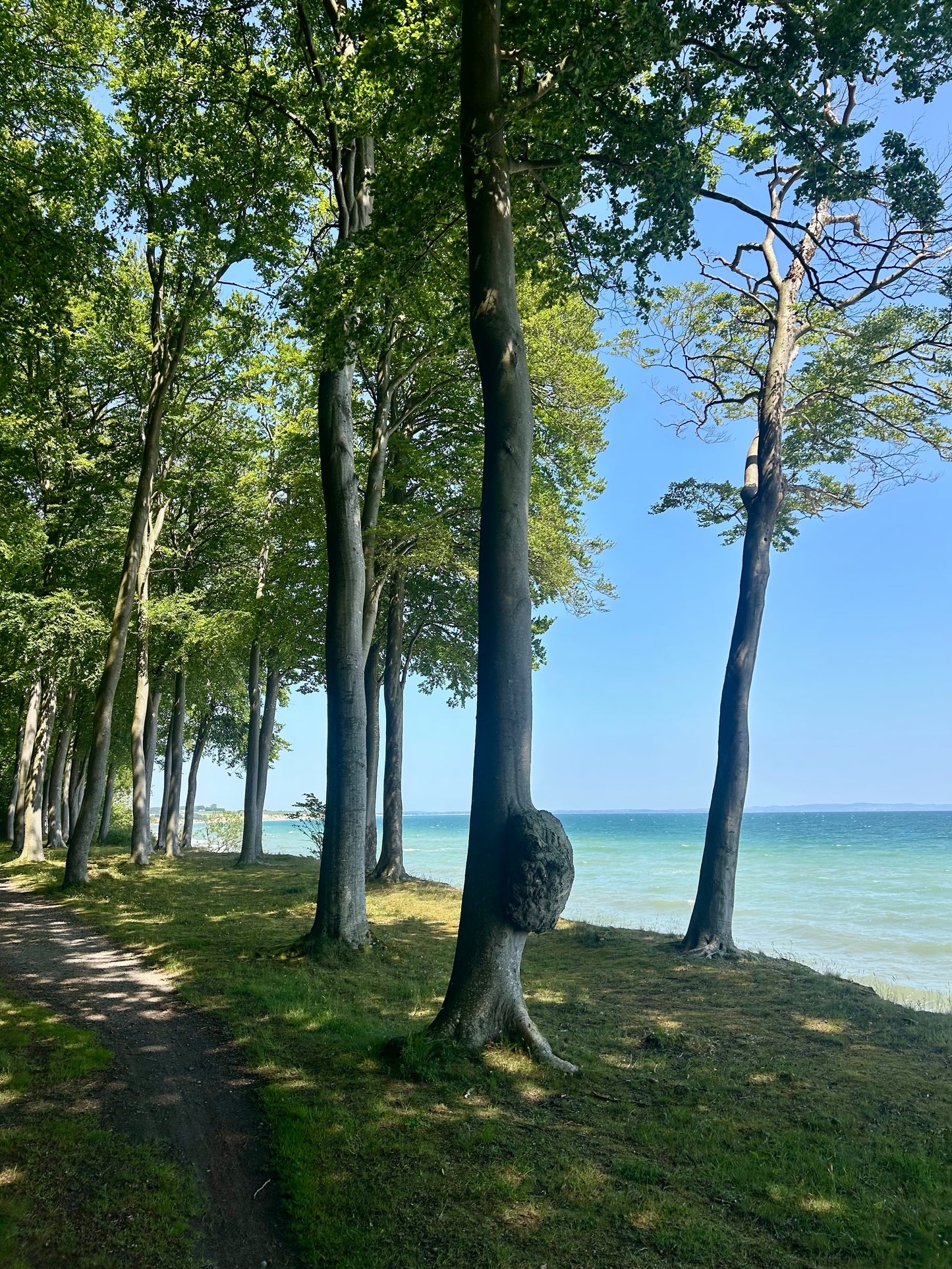 3 dages Yoga Weekend Retreat: Møn, Danmark (5.-7. juni 2026) fra 3900 kr.