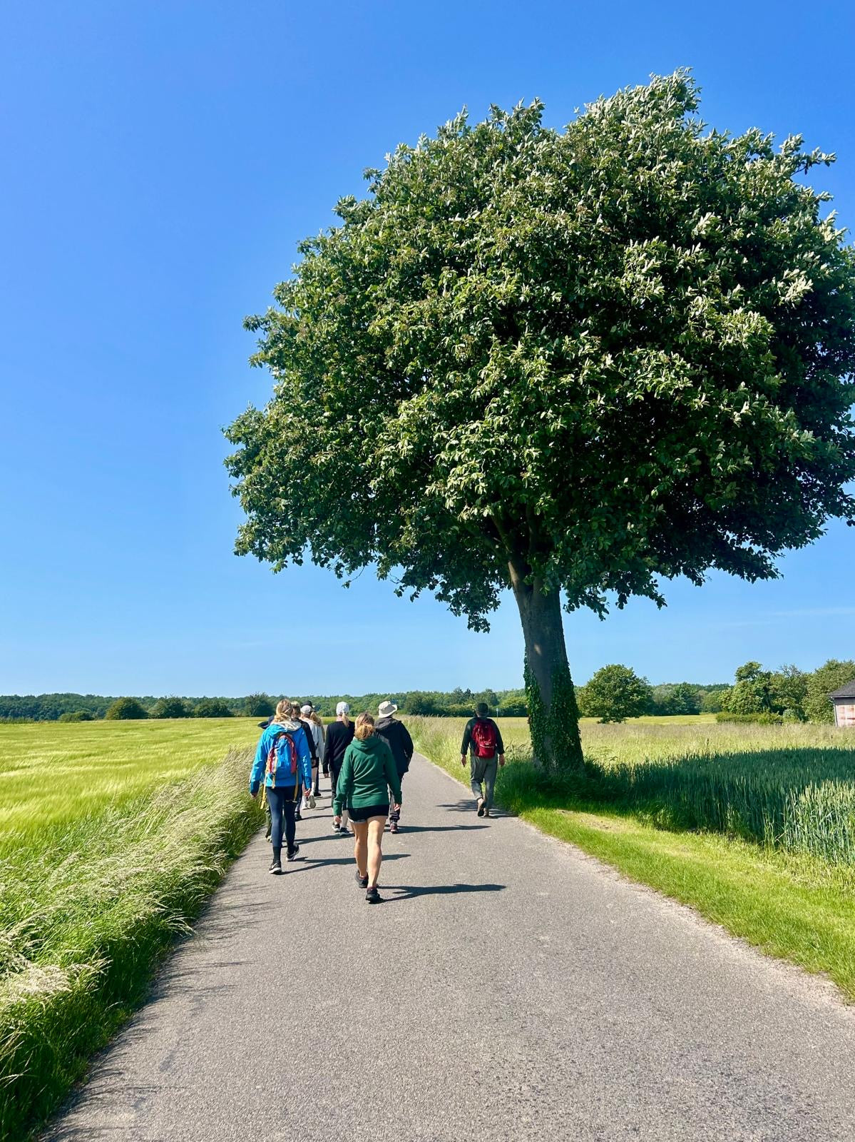 3 dages Yoga Weekend Retreat: Møn, Danmark (5.-7. juni 2026) fra 3900 kr.