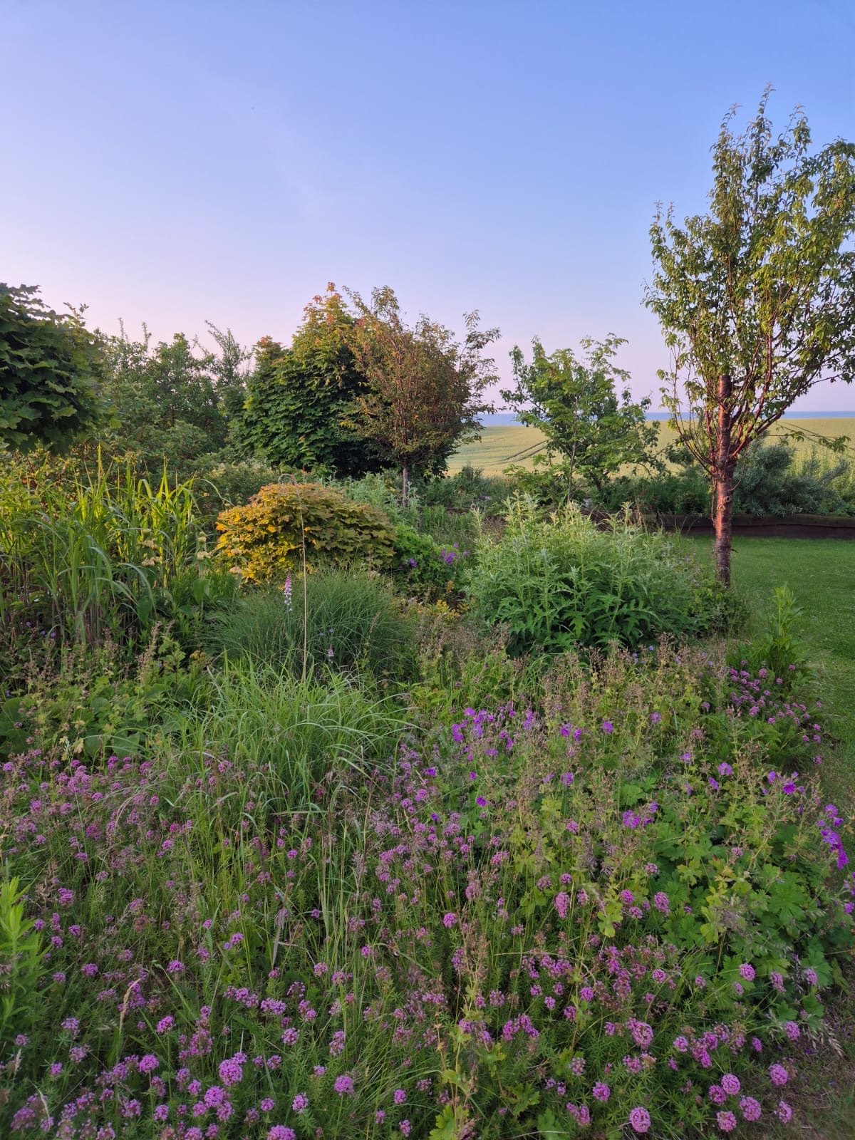 3 dages Yoga Weekend Retreat: Møn, Danmark (5.-7. juni 2026) fra 3900 kr.