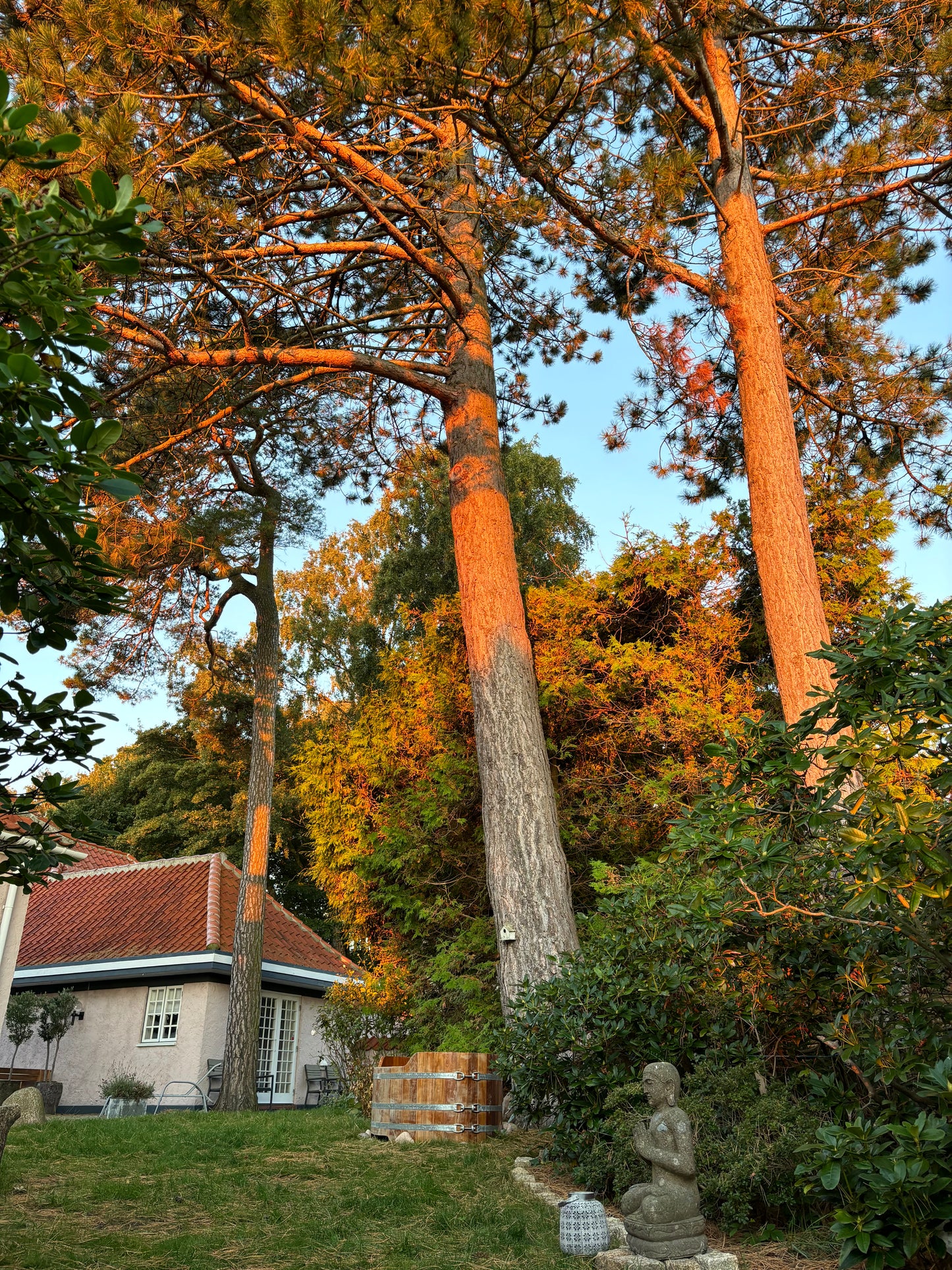 3 dages Weekend Yoga Retreat: Solgaarden, Hornbæk (19.-21. september 2025) fra 3900 kr.