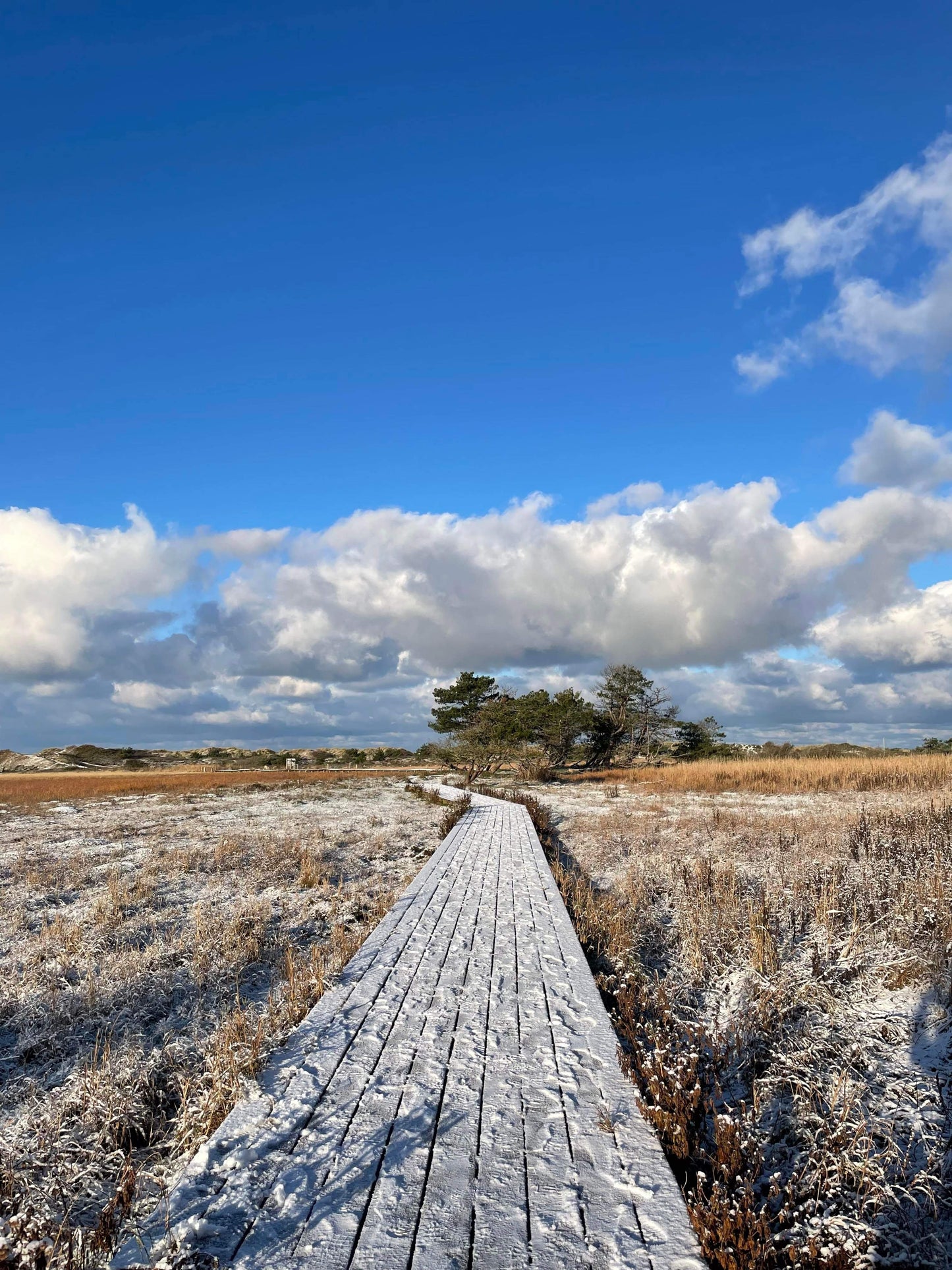 3 dages Weekend Yoga Retreat: Odsherred, Danmark (9.-11. januar 2026) fra 3500 kr.