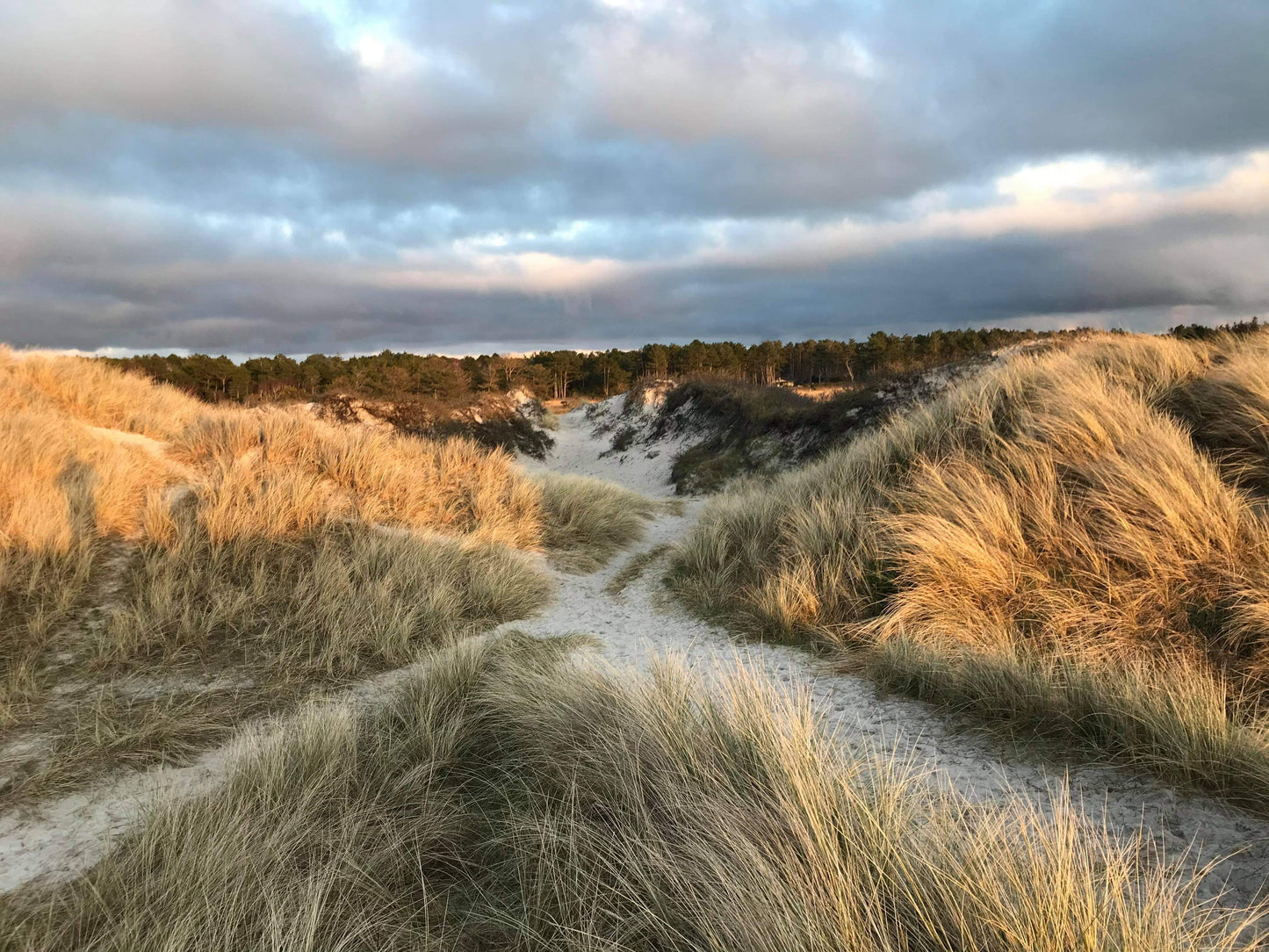 3 dages Weekend Yoga Retreat: Odsherred, Danmark (9.-11. januar 2026) fra 3500 kr.