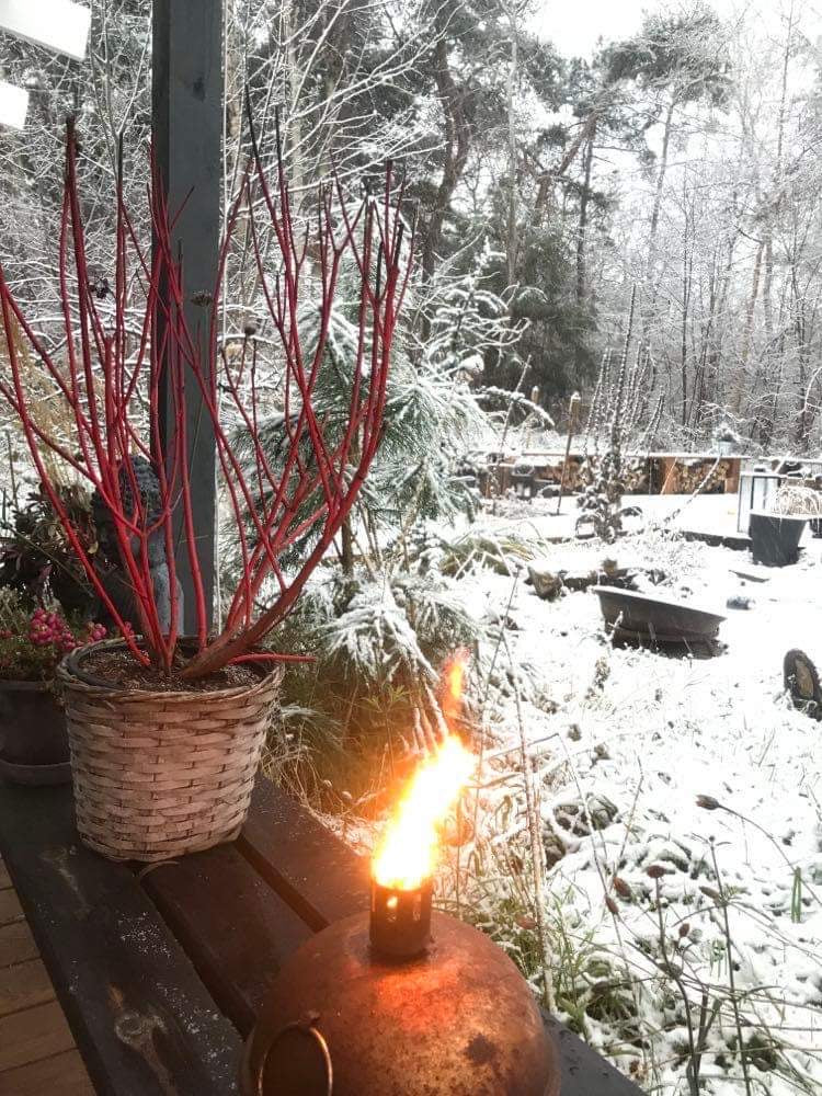 3 dages Weekend Yoga Retreat: Odsherred, Danmark (9.-11. januar 2026) fra 3500 kr.