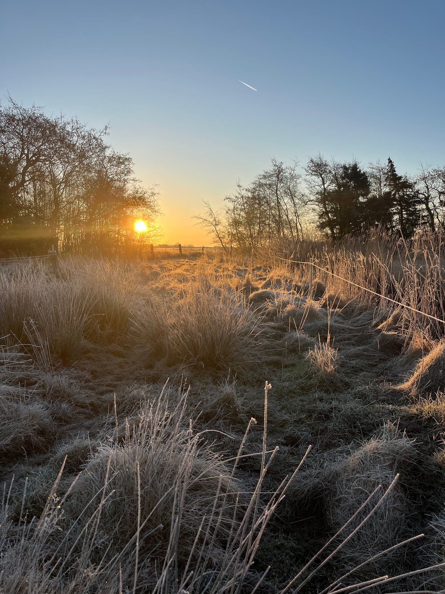 3 dages Weekend Yoga Retreat: Lindvig, Danmark (20.-22. marts 2026) fra 4995 kr.